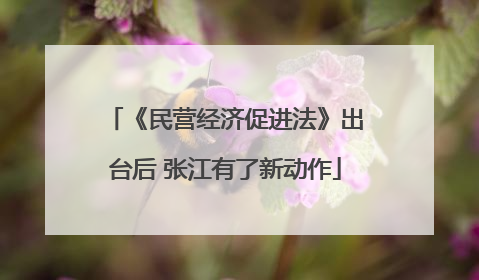 《民营经济促进法》出台后 张江有了新动作