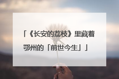 《长安的荔枝》里藏着鄂州的「前世今生」