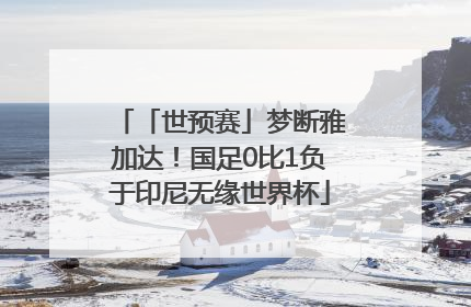 「世预赛」梦断雅加达！国足0比1负于印尼无缘世界杯