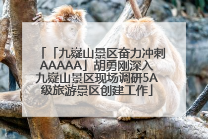 「九嶷山景区奋力冲刺AAAAA」胡勇刚深入九嶷山景区现场调研5A级旅游景区创建工作