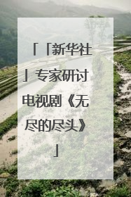 「新华社」专家研讨电视剧《无尽的尽头》