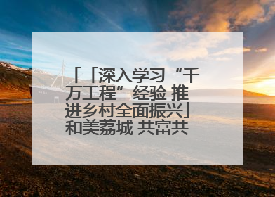 「深入学习“千万工程”经验 推进乡村全面振兴」和美荔城 共富共美 荔城区扎实推进乡村振兴工作