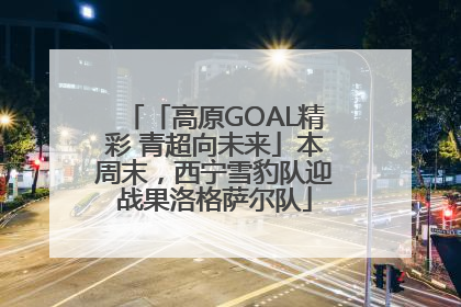 「高原GOAL精彩 青超向未来」本周末，西宁雪豹队迎战果洛格萨尔队