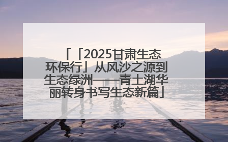 「2025甘肃生态环保行」从风沙之源到生态绿洲——青土湖华丽转身书写生态新篇