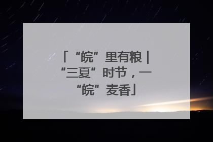 “皖”里有粮｜“三夏”时节，一“皖”麦香