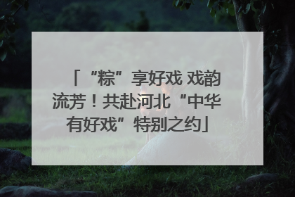 “粽”享好戏 戏韵流芳！共赴河北“中华有好戏”特别之约