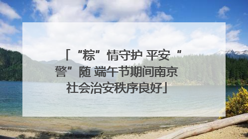 “粽”情守护 平安“警”随 端午节期间南京社会治安秩序良好