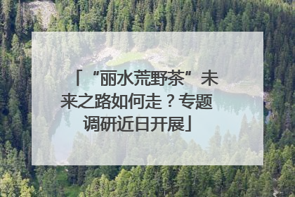 “丽水荒野茶”未来之路如何走？专题调研近日开展