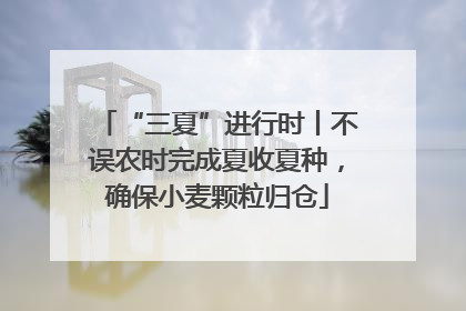 “三夏”进行时丨不误农时完成夏收夏种，确保小麦颗粒归仓