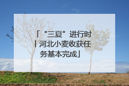 “三夏”进行时丨河北小麦收获任务基本完成