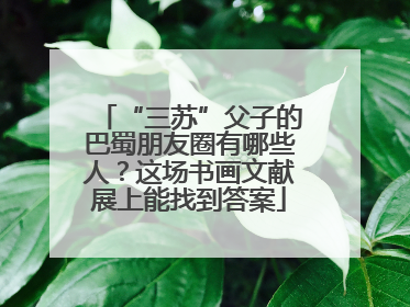 “三苏”父子的巴蜀朋友圈有哪些人？这场书画文献展上能找到答案