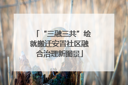 “三融三共”绘就搬迁安置社区融合治理新图景