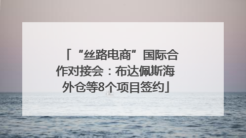 “丝路电商”国际合作对接会：布达佩斯海外仓等8个项目签约