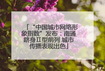 “中国城市网络形象指数”发布：南通跻身Ⅱ型前列 城市传播表现出色