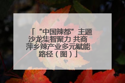 “中国辣都”主题沙龙集智聚力 共商萍乡辣产业多元赋能路径（图）