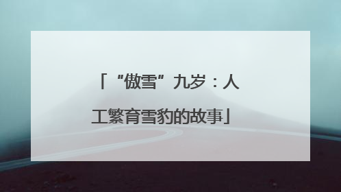 “傲雪”九岁：人工繁育雪豹的故事