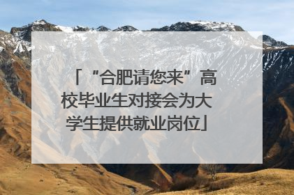 “合肥请您来”高校毕业生对接会为大学生提供就业岗位