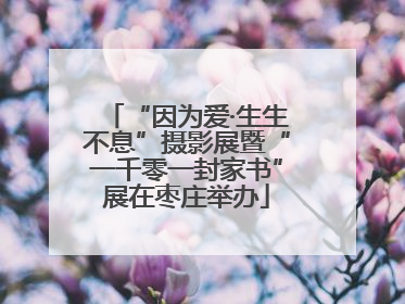 “因为爱·生生不息”摄影展暨“一千零一封家书”展在枣庄举办