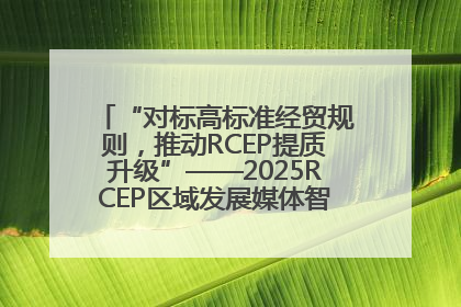 “对标高标准经贸规则，推动RCEP提质升级”——2025RCEP区域发展媒体智库论坛举行专题对话