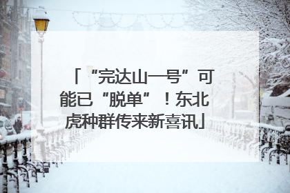“完达山一号”可能已“脱单”！东北虎种群传来新喜讯