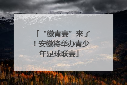 “徽青赛”来了！安徽将举办青少年足球联赛