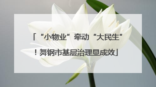 “小物业”牵动“大民生”！舞钢市基层治理显成效