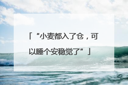 “小麦都入了仓，可以睡个安稳觉了”