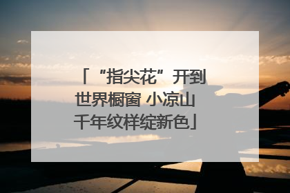 “指尖花”开到世界橱窗 小凉山千年纹样绽新色