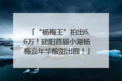 “杨梅王”拍出6.6万！建阳首届小湖杨梅嘉年华酸甜出圈！
