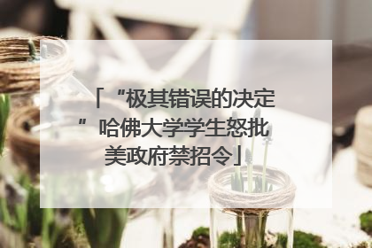 “极其错误的决定”哈佛大学学生怒批美政府禁招令
