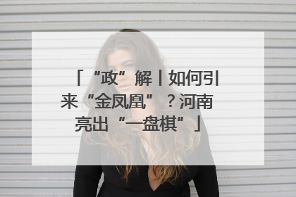 “政”解丨如何引来“金凤凰”？河南亮出“一盘棋”