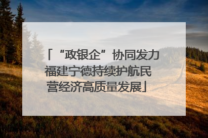 “政银企”协同发力 福建宁德持续护航民营经济高质量发展