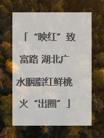 “映红”致富路 湖北广水胭脂红鲜桃火“出圈”