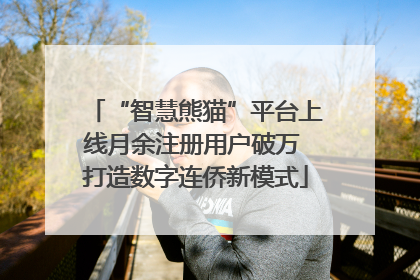 “智慧熊猫”平台上线月余注册用户破万 打造数字连侨新模式