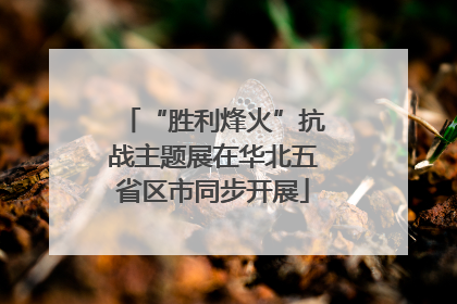“胜利烽火”抗战主题展在华北五省区市同步开展