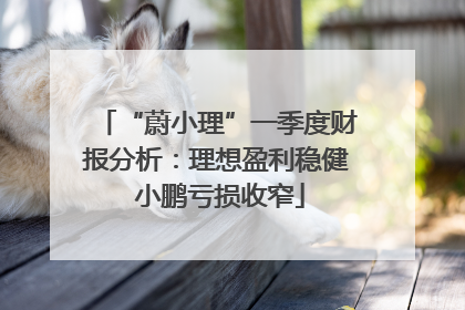 “蔚小理”一季度财报分析：理想盈利稳健 小鹏亏损收窄