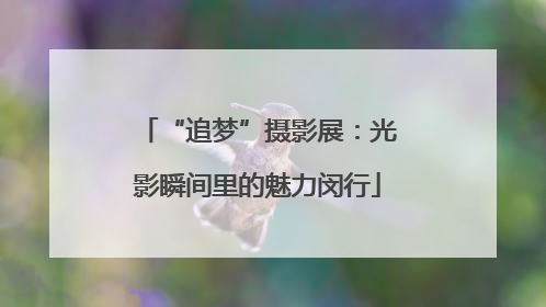 “追梦”摄影展：光影瞬间里的魅力闵行