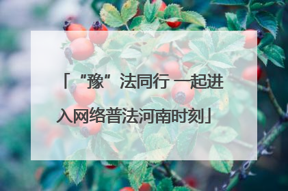 “豫”法同行 一起进入网络普法河南时刻
