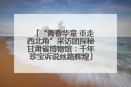“青春华章·重走西北角”采访团探秘甘肃省博物馆：千年珍宝诉说丝路辉煌