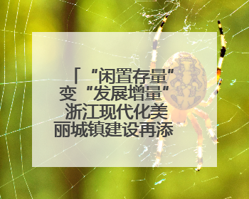 “闲置存量”变“发展增量” 浙江现代化美丽城镇建设再添新意