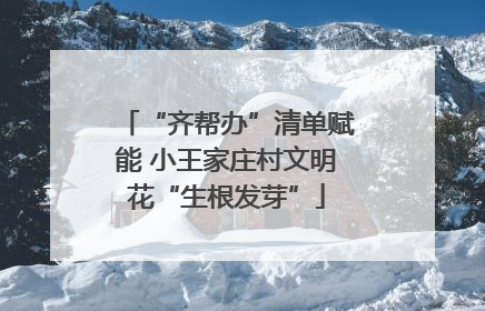 “齐帮办”清单赋能 小王家庄村文明花“生根发芽”