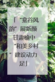 “龛谷风韵”展新颜 甘肃榆中“和美乡村”建设动力足