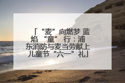 “麦”向燃梦 蓝焰 “童” 行：浦东消防与麦当劳献上儿童节“六一”礼