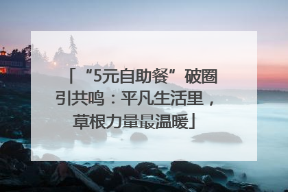 “5元自助餐”破圈引共鸣：平凡生活里，草根力量最温暖
