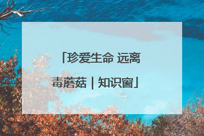 珍爱生命 远离毒蘑菇｜知识窗