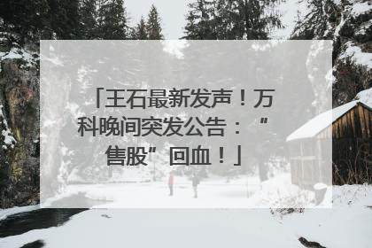王石最新发声！万科晚间突发公告：“售股”回血！