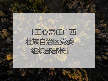 王心富任广西壮族自治区党委组织部部长