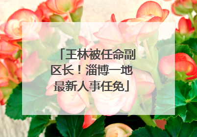 王林被任命副区长！淄博一地最新人事任免