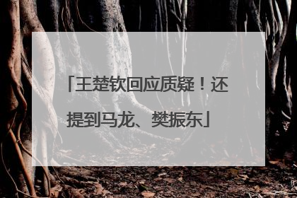 王楚钦回应质疑！还提到马龙、樊振东