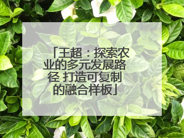 王超：探索农业的多元发展路径 打造可复制的融合样板